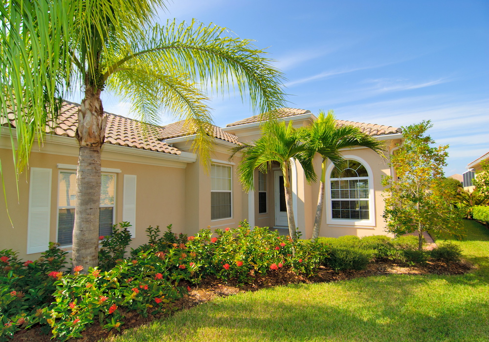 florida house with palm tree